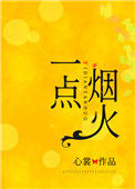 《一点烟火》封面