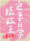 《摄政王宠妻日常》封面