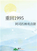 《重回1995》封面