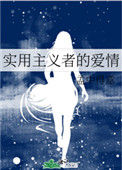 《实用主义者的爱情》封面
