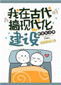 《我在古代搞现代化建设》封面