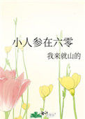 《小人参在六零》封面