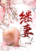 《继妻》封面