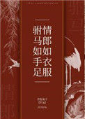 《驸马如手足，情郎如衣服》封面