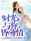 《你与时光皆薄情》封面