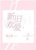 《新欢旧爱》封面
