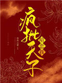《宫锁雀翎》封面