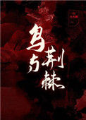 《鸟与荆棘》封面
