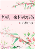 《老板，来杯冰奶茶》封面