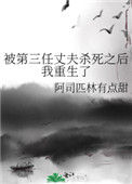 《被第三任丈夫杀死之后我重生了》封面