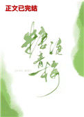 《糖渍青梅》封面