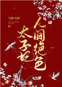 《太子妃人间绝色》封面