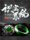 《我的识宝系统》封面