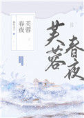 《芙蓉春夜》封面