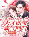 《惊！夫人带着天才萌宝霸气回归，总裁跪了》封面