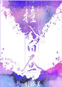《撞入白昼》封面