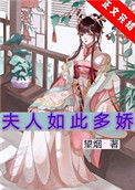 《夫人如此多娇》封面