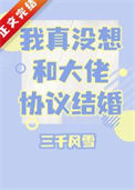 《我真没想和大佬协议结婚》封面