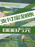 《支付宝到账888万元》封面