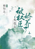 《失忆后被权臣娇养了》封面