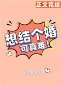 《想结个婚可真难》封面