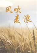 《风吹麦浪》封面