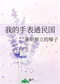 《我的手表通民国》封面
