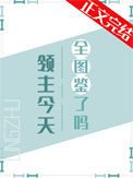 《领主今天全图鉴了吗》封面
