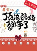 《顶流隐婚翻车了》封面