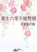 《重生六零不嫁赘婿》封面