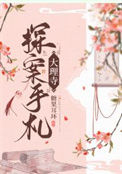 《大理寺探案手札》封面