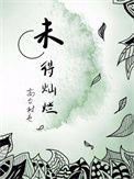 《未得灿烂》封面