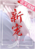 《新宠》封面