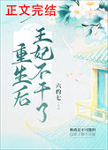《重生后王妃不干了》封面
