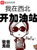 《我在西北开加油站》封面