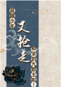 《苗疆少年又抢走和亲的九郡主啦》封面