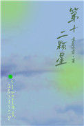 《第十二颗星》封面
