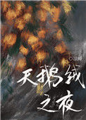 《天鹅绒之夜》封面
