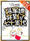 《将军她穿到了七十年代》封面