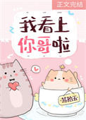 《我看上你哥啦》封面