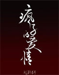 《疯子的爱情》封面