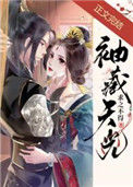 《袖藏天光》封面