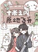 《十米之内，原地飞升》封面