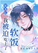 《穿书后我被迫吃上了软饭》封面