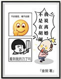 《我说离婚不是在胡闹》封面