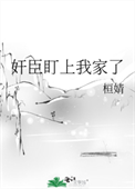 《奸臣盯上我家了》封面