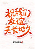 《祝我们友谊天长地久》封面