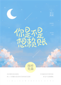《你是不是想赖账》封面