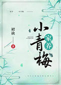 《家养小青梅》封面