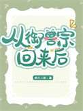 《从御兽宗回来后》封面